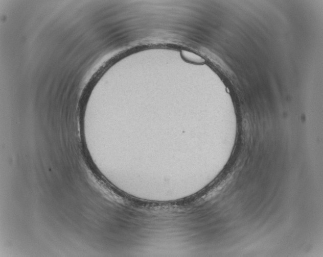 X0000069390934200606091713