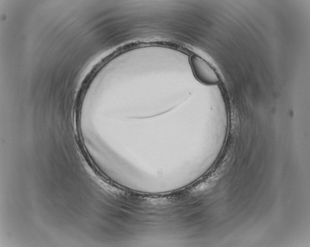 X0000069390935200606091713