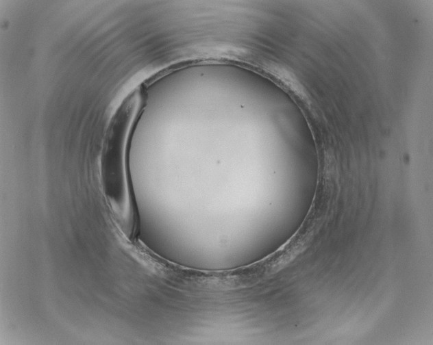 X0000069390936200606091713