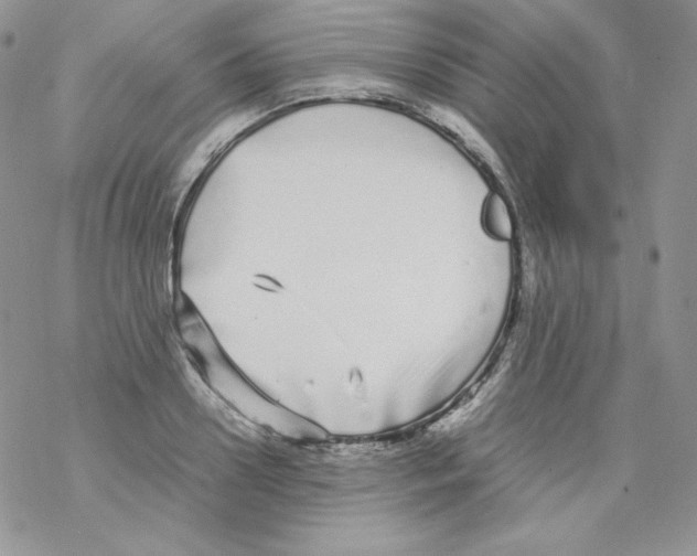 X0000069390938200606091713