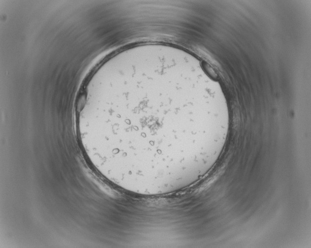 X0000069390940200606091713