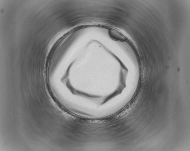 X0000069390943200606091713