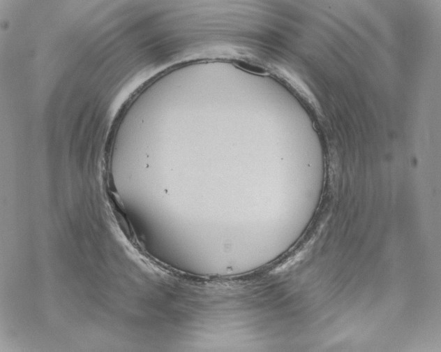 X0000069390944200606091713