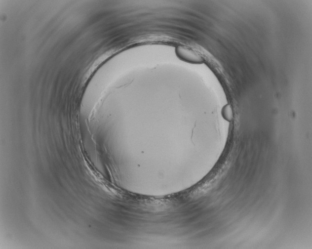 X0000069390945200606091713