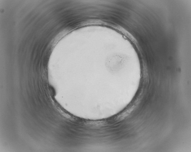 X0000069390953200606091713