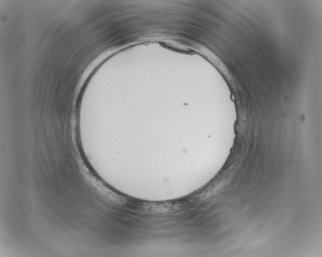 X0000069390955200606091713