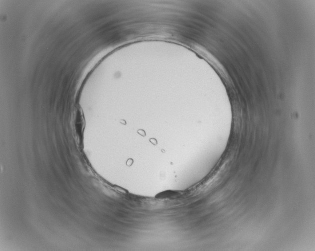 X0000069390956200606091713