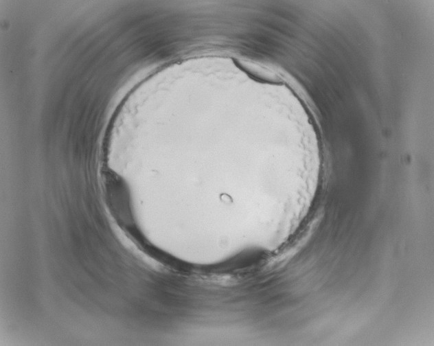 X0000069390957200606091713