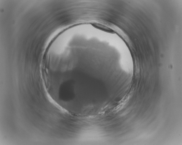 X0000069390958200606091713