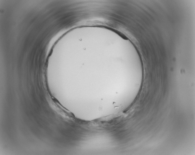 X0000069390960200606091713