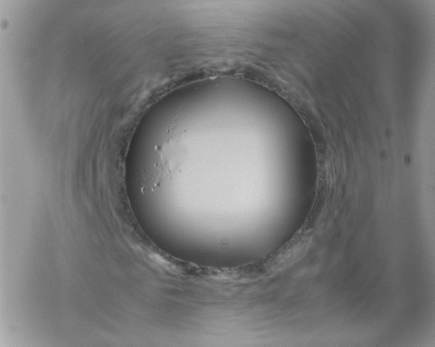 X0000069390961200606091712