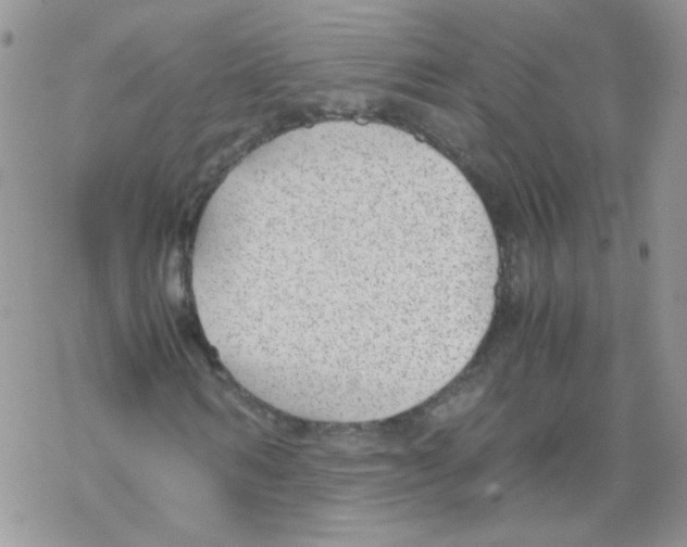 X0000069390962200606091712