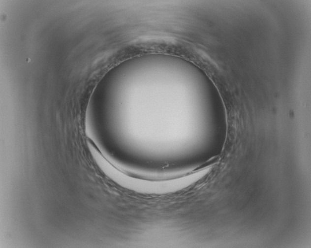 X0000069390965200606091712