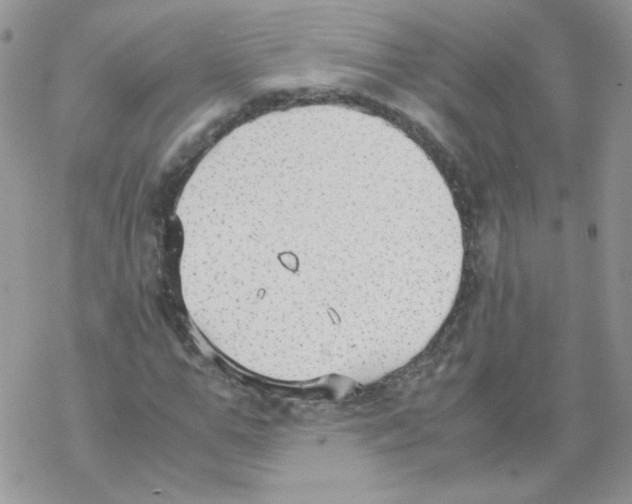 X0000069390967200606091712