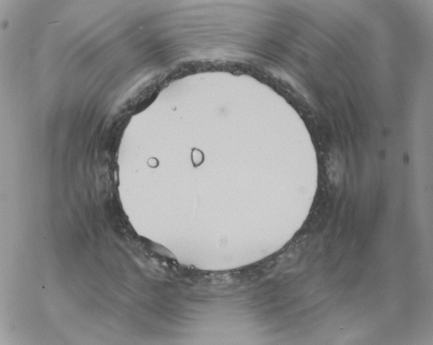 X0000069390968200606091712