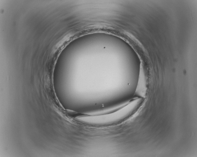 X0000069390969200606091712