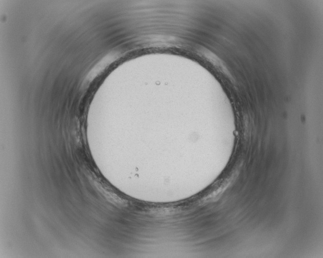 X0000069390970200606091712