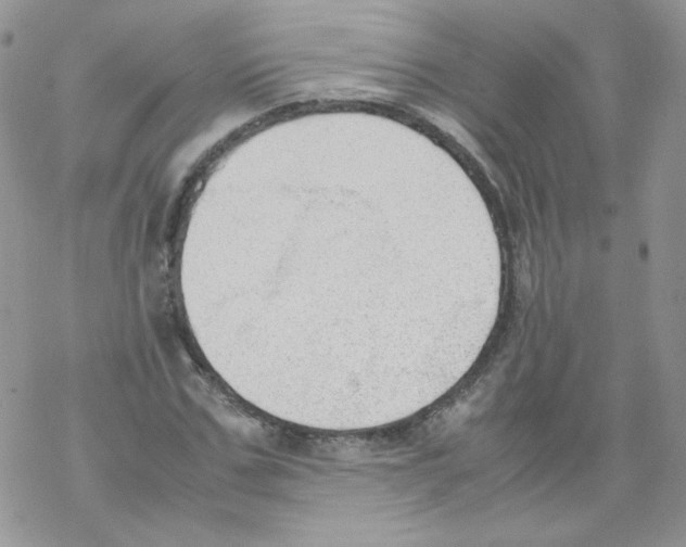 X0000069390971200606091712