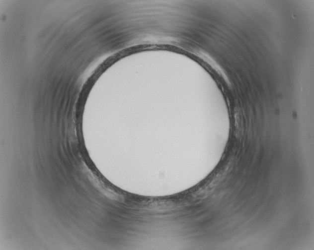 X0000069390972200606091712