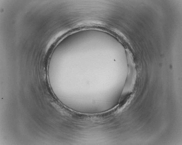 X0000069390973200606091712