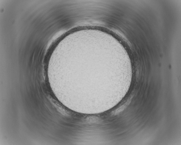 X0000069390974200606091712