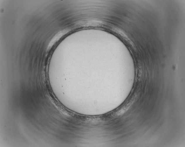 X0000069390978200606091712