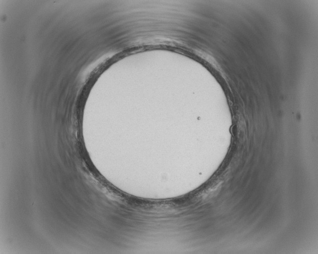 X0000069390979200606091712