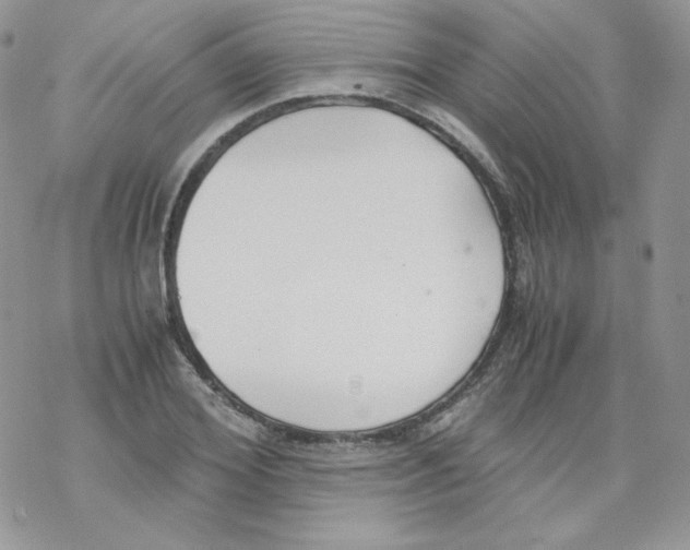 X0000069390980200606091712