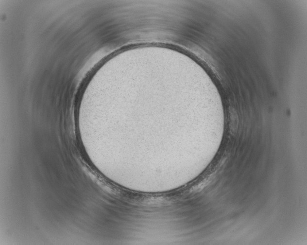 X0000069390982200606091712