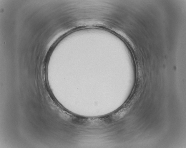 X0000069390983200606091712