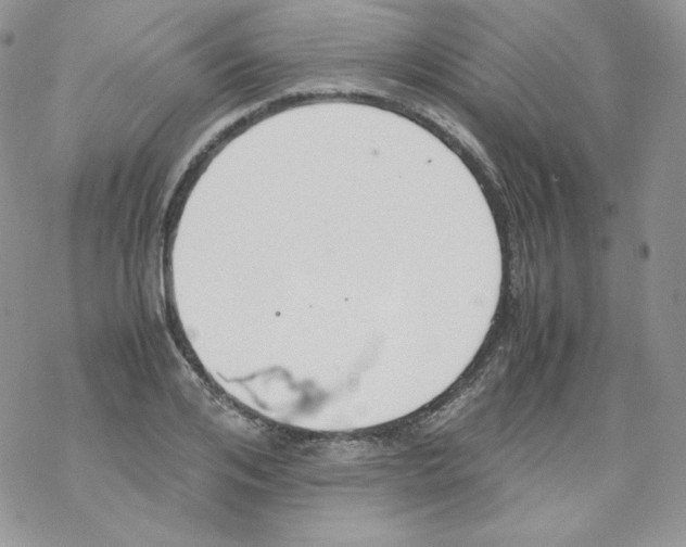 X0000069390984200606091712