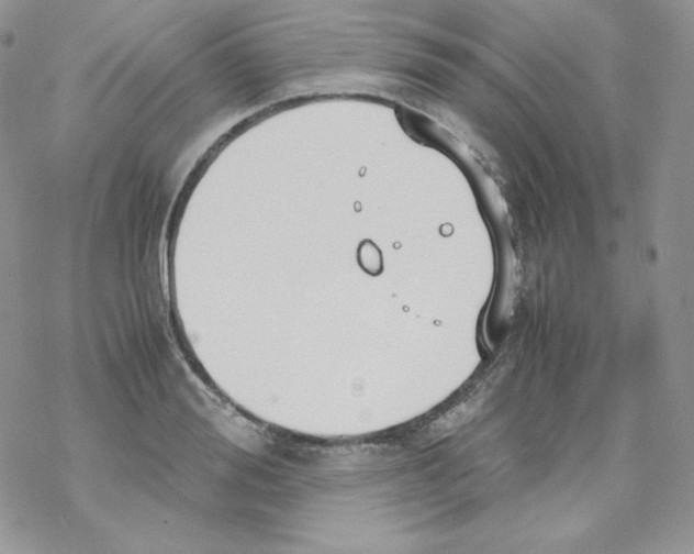 X0000069390988200606091712