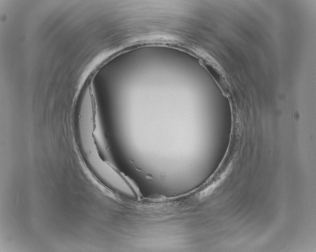 X0000069390989200606091712