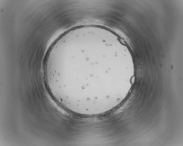 X0000069390990200606091712