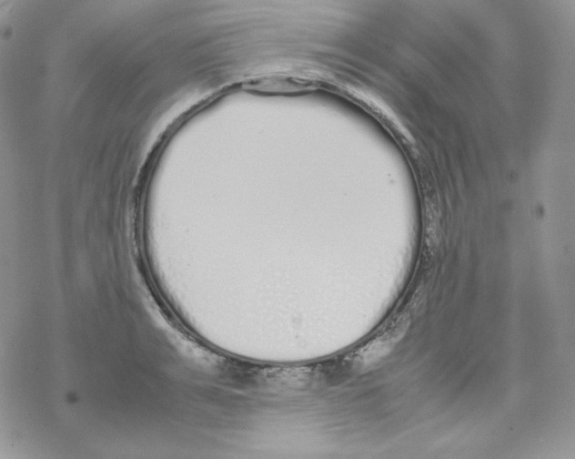 X0000069390991200606091712