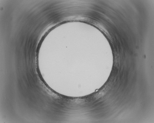 X0000069390992200606091712