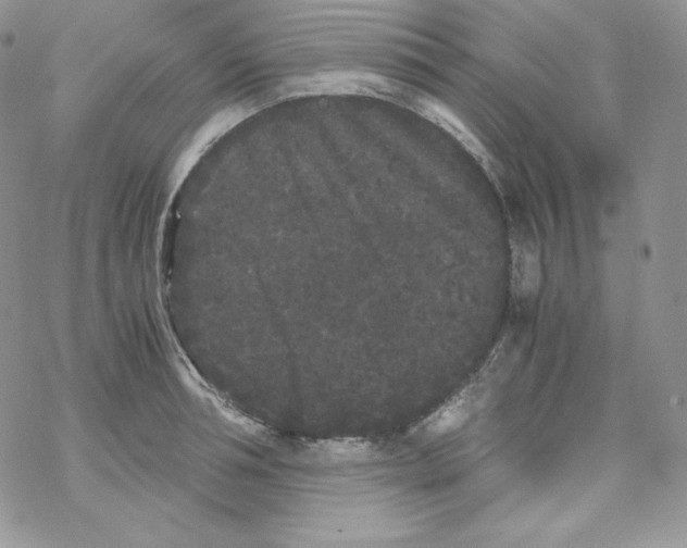 X0000069390994200606091712