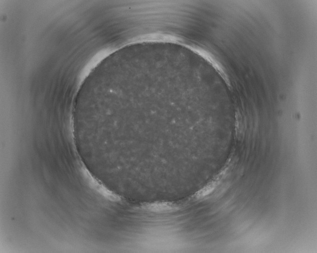 X0000069390998200606091712