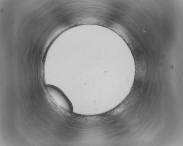 X0000069391000200606091712