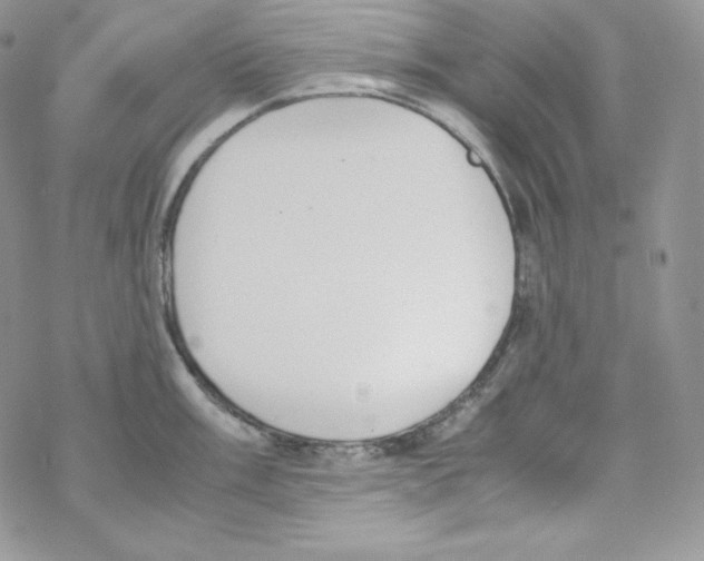 X0000069391003200606091712