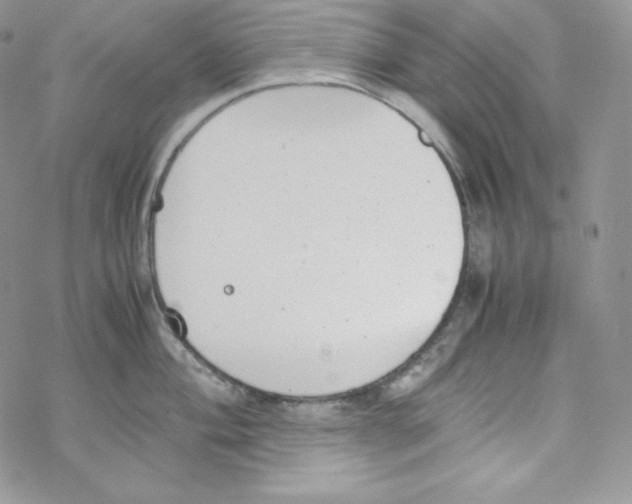 X0000069391004200606091712