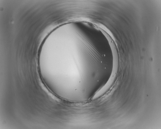 X0000069391005200606091712