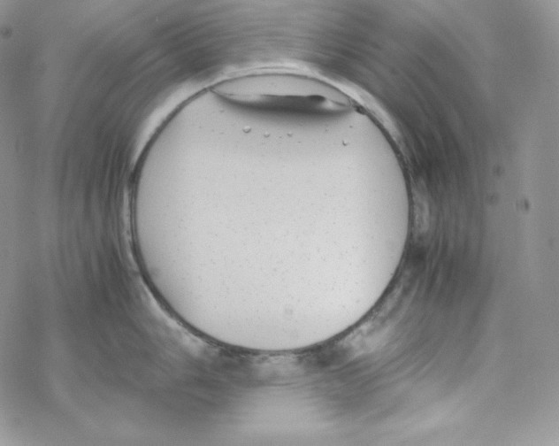 X0000069391006200606091712