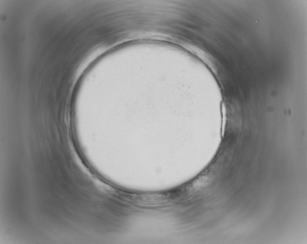 X0000069391007200606091712