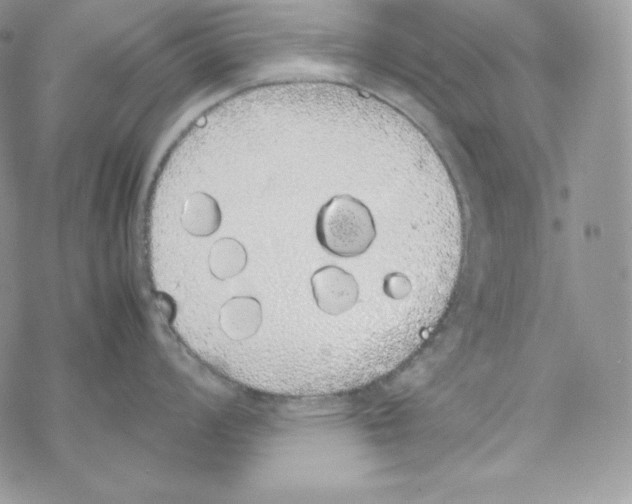 X0000069391008200606091712