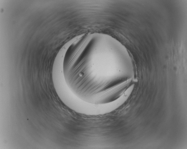 X0000069391010200606091711