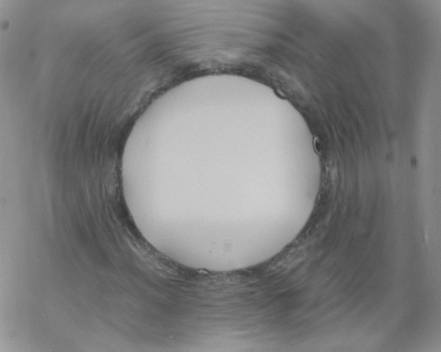 X0000069391012200606091711