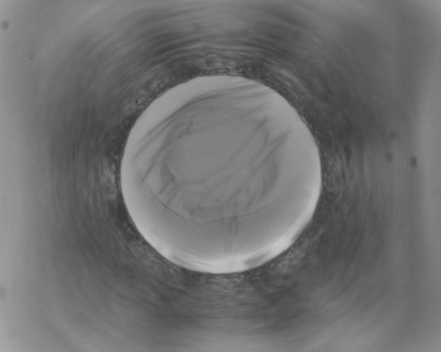 X0000069391013200606091711