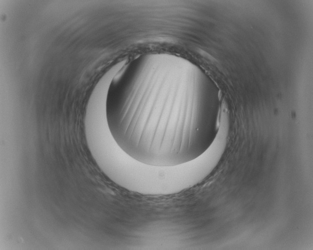 X0000069391014200606091711