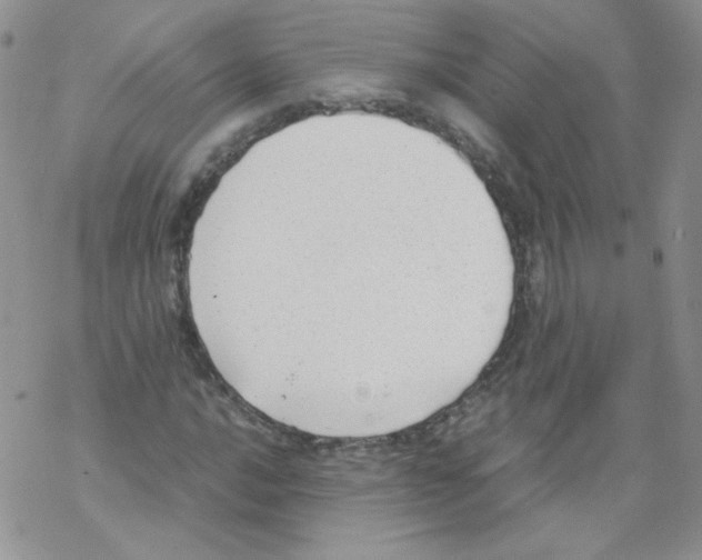 X0000069391016200606091711